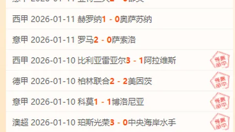 新疆力抗强敌，浙江稳中求进